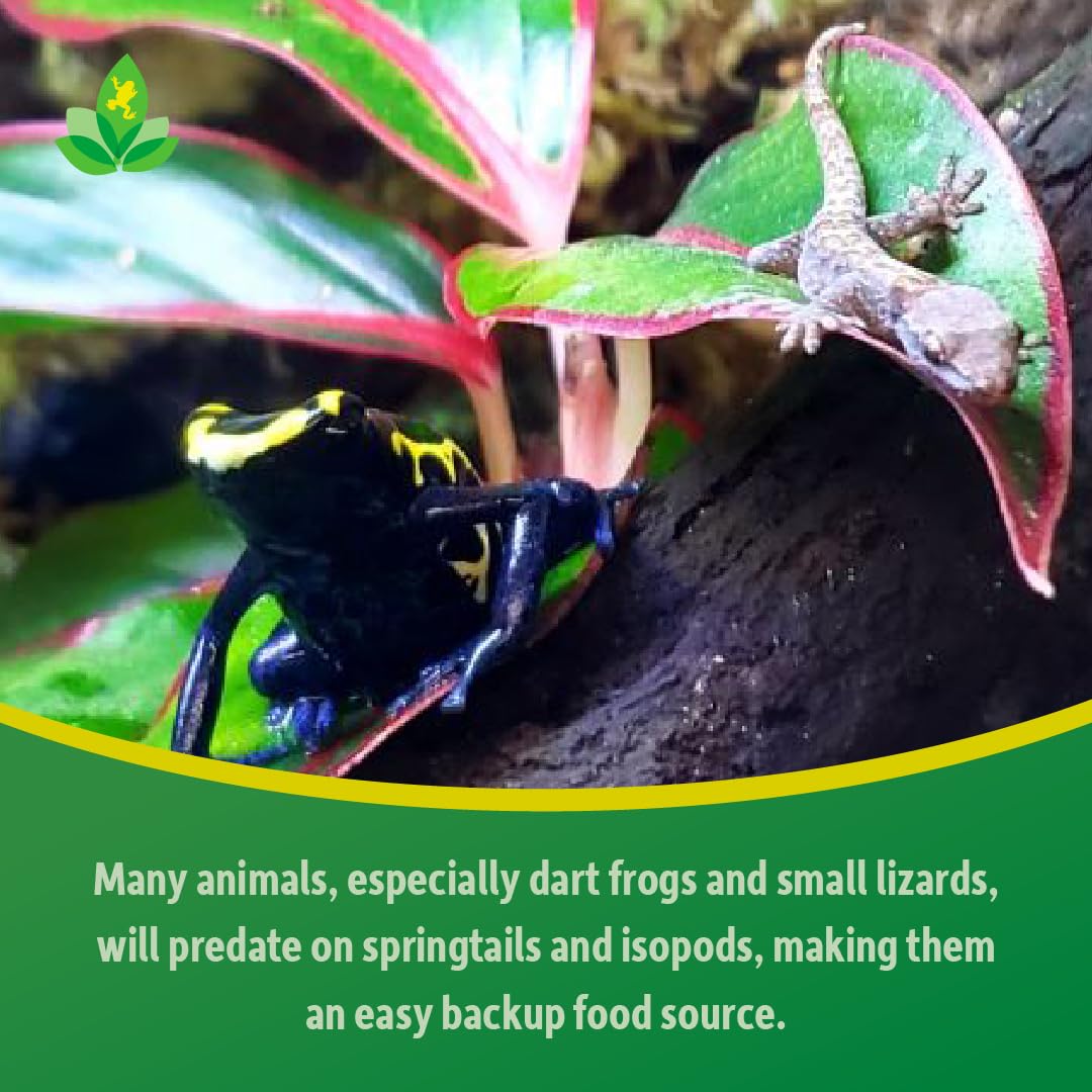 Josh's Frogs Dwarf Tropical White Isopods (25 ct) and Temperate Springtails (8oz) Bioactive Clean Up Crew Bugs Bundle