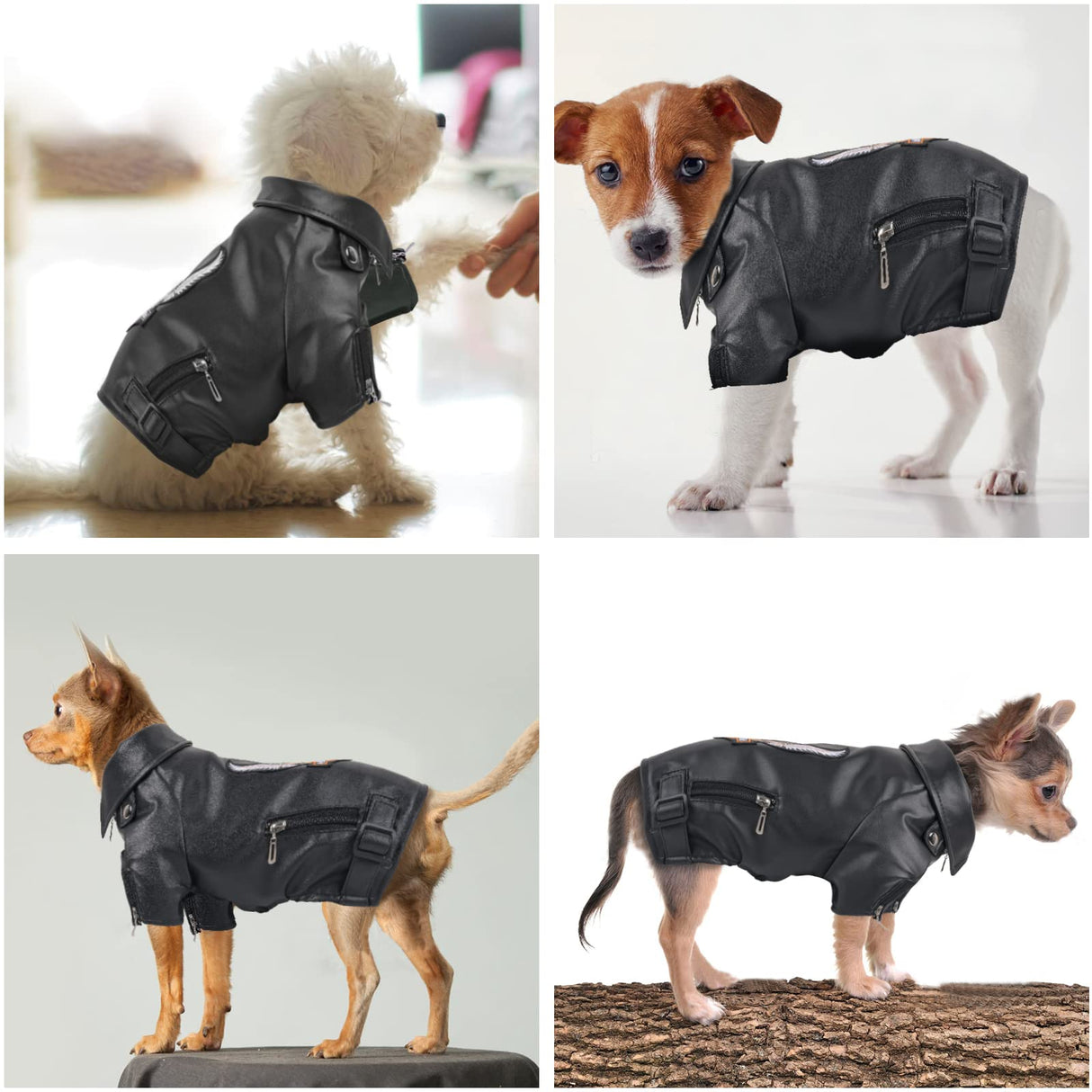 Warm Winter Dog Coat for Small and Medium Sized Dogs - Windproof and Waterproof Puppy Jacket - Cool Pet Leather Clothes for Chihuahua and Yorkie - Black Small