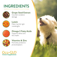 Load image into Gallery viewer, Ocu-GLO Cat &amp; Dog Senior Supplement for Eye Support - Chewable Vision Vitamins Supplements for Large and Small Pets Care with Lutein, Omega-3 Fatty Acids, Grape Seed Extract &amp; Antioxidants
