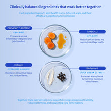 Load image into Gallery viewer, Turmeric Curcumin for Dogs - 90 Soft Chews - with Collagen, BioPerine and Fish Oil - Hip &amp; Joint Support, Ease Inflammation, Antioxidant.
