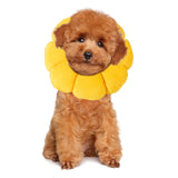 HOMBYS Soft Dog Cone for Dogs and Cats, Cute & Fluffy Flower Shape for Claming, Adjustable Dog Collar Alternative After Surgery, Protective Elizabethan Collar for Dogs Recovery & Stop Licking, M