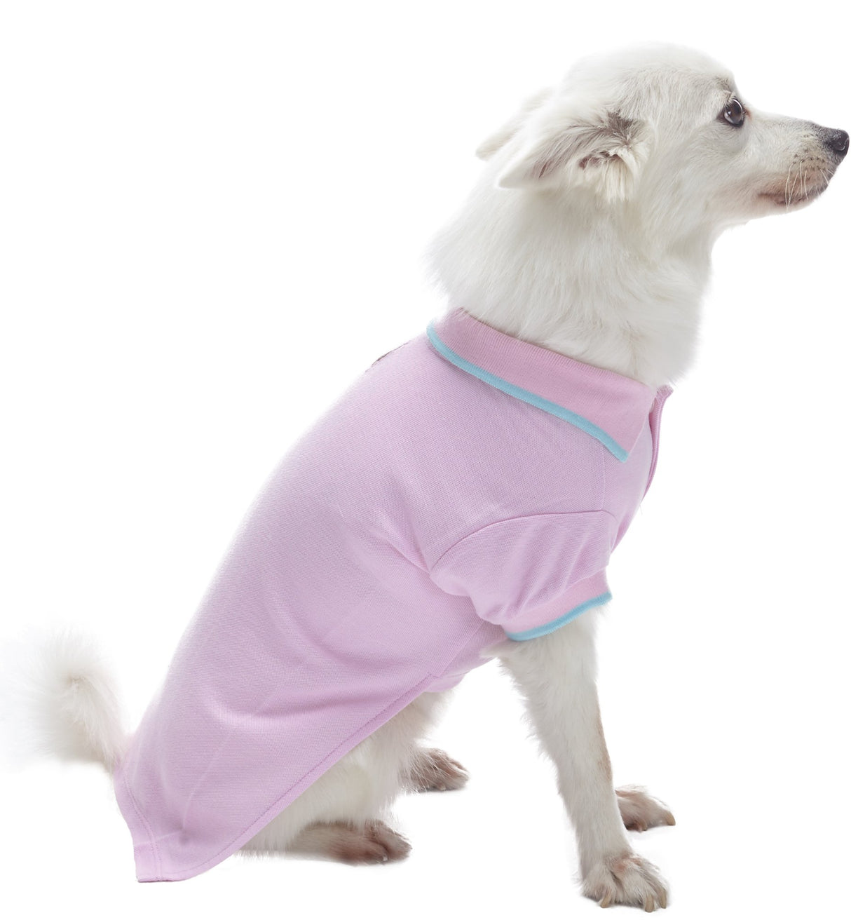 Blueberry Pet Back to School 2-Pack Prep School Style Dog Polo Shirts | Cotton Outfit for Small Pets in Pastel Pink + Blue, Back Length 14 inch