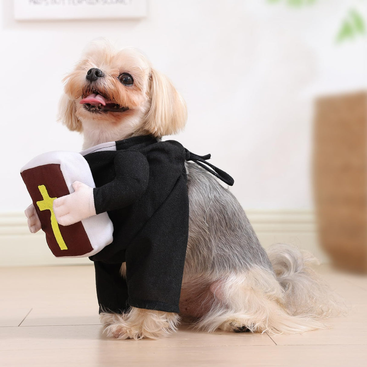Layheld Cat Costume Dog Clothes Funny Priest with Bible Nun Outfit Stand-Up Design for Pet Cosplay Cute Photoshoot Pet Outfit for Cat Small Dog (Priest with Bible,X-Small)