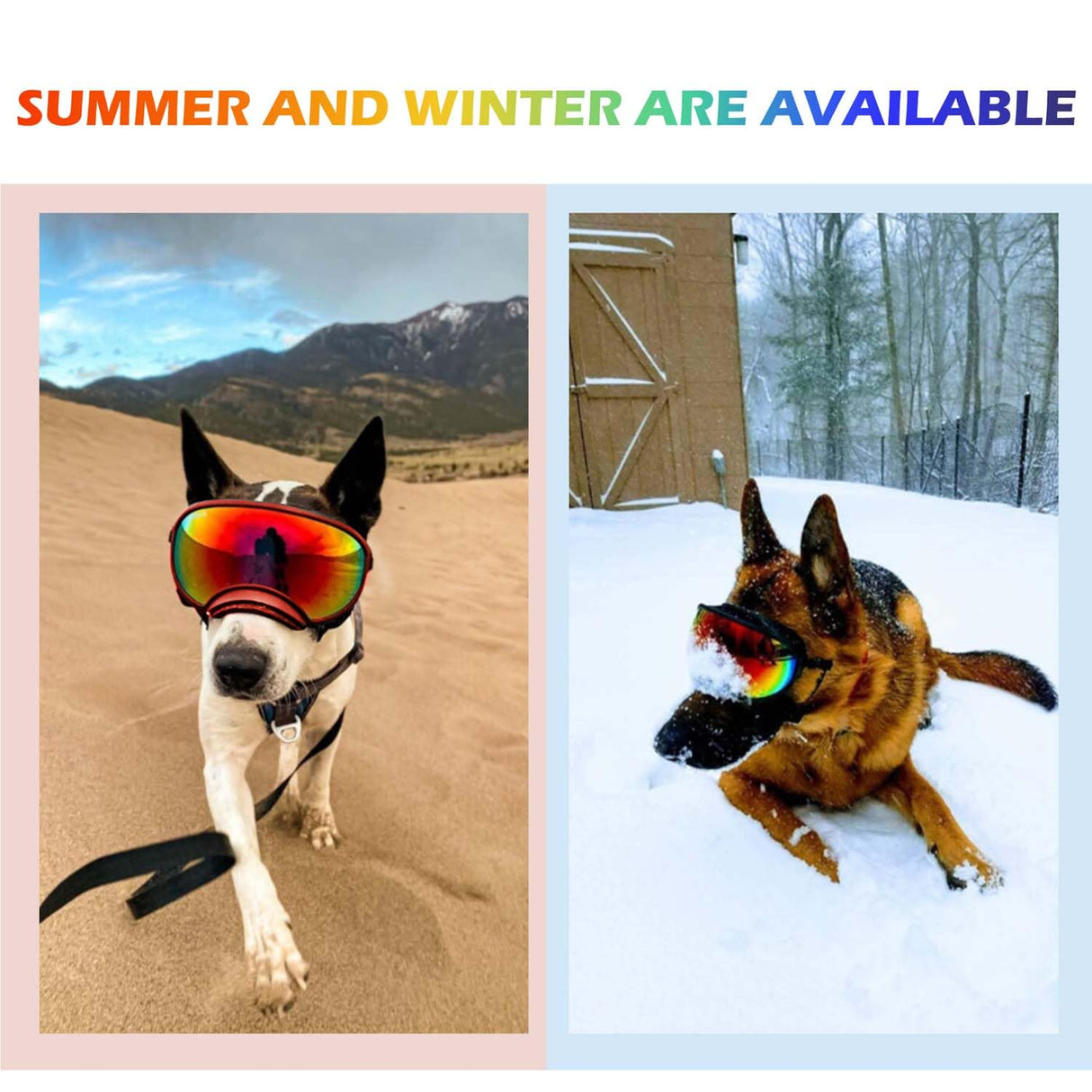 Dog Sunglasses,Doggles Anti-UV Protection,Pet Sunglasses with Adjustable Strap,Suitable for Motorcycle Car Driving Bike Riding Hiking Swimming Wind Dust Fog Dog Eye Protection