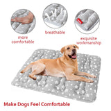 Dog Crate Mat (36" X 23") 2 Pack, Soft Dog Bed Mat with Cute Stars, Personalized Crate Pad, Anti-Slip Bottom, Machine Washable Kennel Pad, Grey