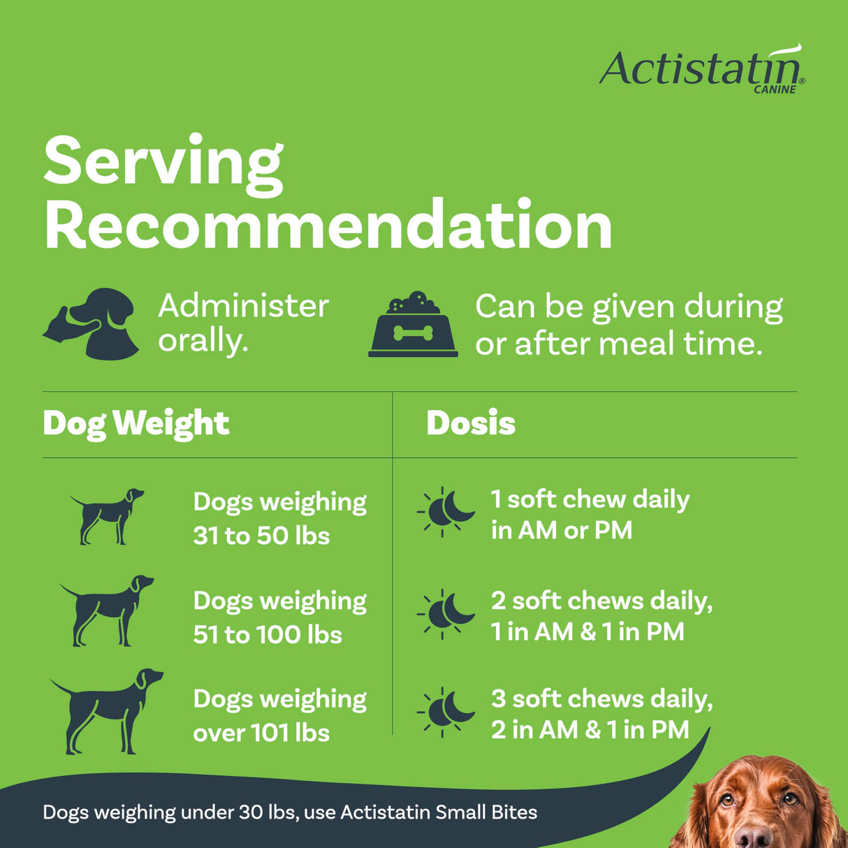 Actistatin Canine Large Dog Soft Chews, 120ct – Patented Extra-Strength Joint, Cartilage, Soft Tissue Supplement: Glucosamine, Chondroitin, Manganese, MSM, L-Carnitine – High Absorption, Fast Results
