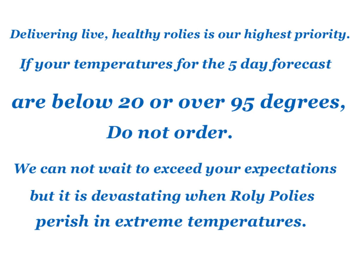 Pocket Pets Springtail Eggs and Dwarf White Isopods in Living Bioactive Soil Clean Up Crew Bundle Reptile and Amphibian Food Order only if Your 5 Day Forecast Temps are Between 20 and 95