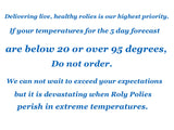 Pocket Pets Springtail Eggs and Dwarf White Isopods in Living Bioactive Soil Clean Up Crew Bundle Reptile and Amphibian Food Order only if Your 5 Day Forecast Temps are Between 20 and 95