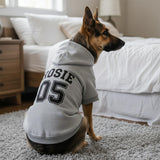 Personalized Dog Hoodie with Name/Text, Custom Embroidered or Printed Dog Sweater, Warm Winter Hoodie for Puppies, Cute Birthday Outfit, Unique Gift for Pet Lovers, A3
