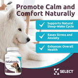 K9 Select Melatonin for Dogs - Composure Dog Calming Chews - Dog Melatonin for Sleep - Reduce Stress Helps Composure Calming Treats for Small Dogs - 3 mg, 120 Beef Flavored Chewable Tablets