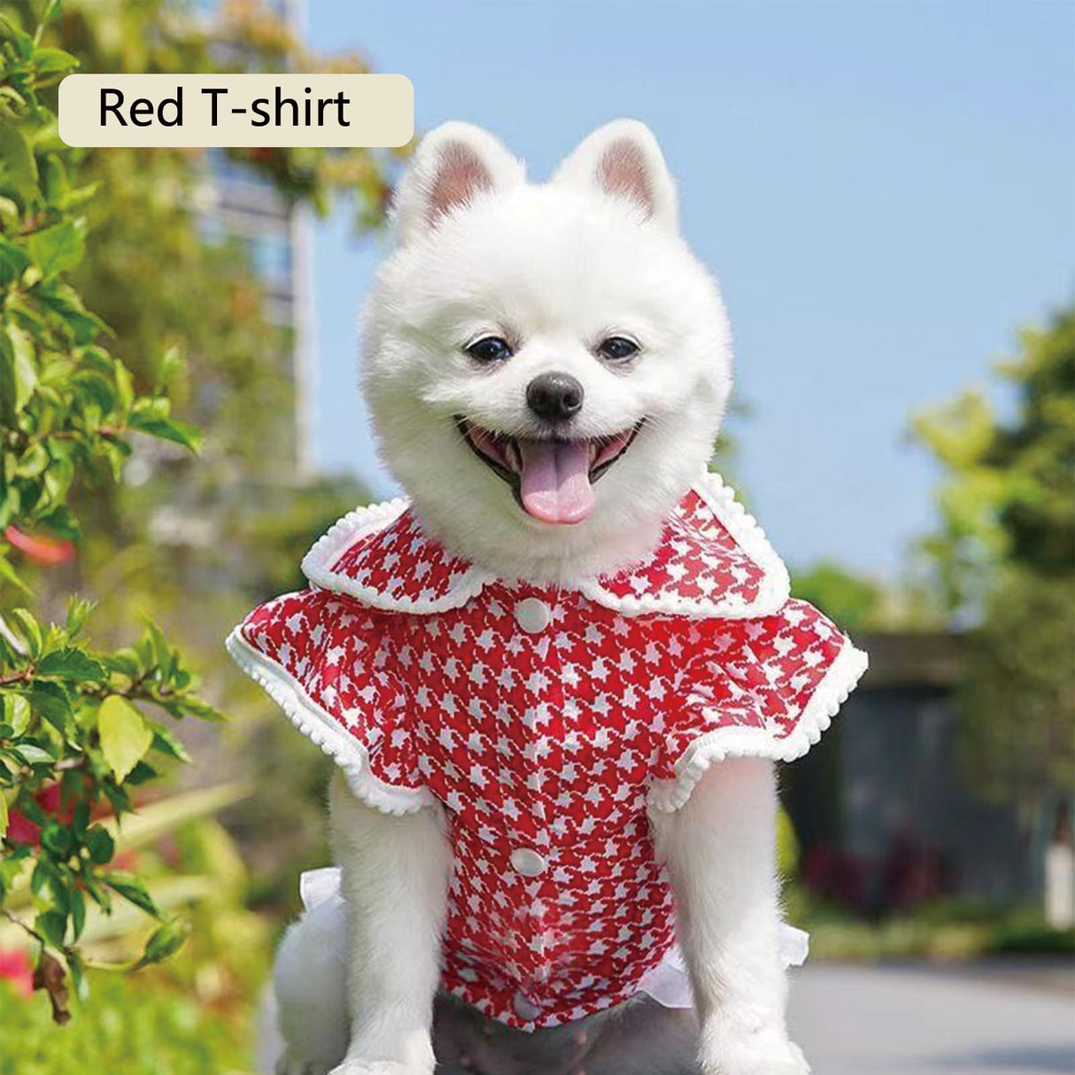 Dog Clothes Dog Dresses, Cute Puppy Dresses Pet Cat Princess Bowknot Clothes Cute Puppy Summer Outfits for Medium and Small Dogs Cat Girls (Black T-Shirt, X-Small)