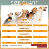 BEAUTYZOO Dog Sweaters for Small Medium Large Dogs, Dog Hoodie Warm Fleece Dogs Winter Clothes Cute Stylish Boy & Girl Dog Sweatshirts, Grey Sport Coats Baseball Uniform Jackets for Puppy, M