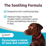 K9 Select Melatonin for Large Dogs - Composure Dog Calming Chews - Dog Melatonin for Sleep - Reduce Stress for Large Dogs - 6 mg, 90 Beef Flavored Chewable Tablets
