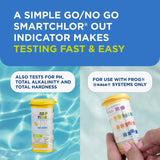 FROG @Ease Test Strips for Hot Tubs and Swim Spas - Test Strip with Out Indicator for FROG @Ease SmartChlor Cartridges, pH, Total Alkalinity and Total Hardness - 60 Test Strips