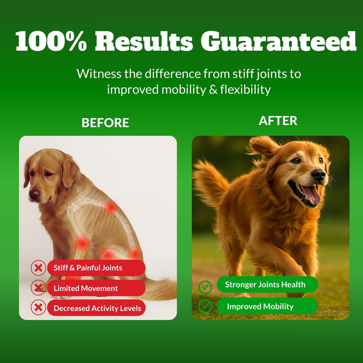 Dog Hip & Joint Supplement Chews with Glucosamine & Chondroitin – Joint Support for Senior & Large Breed Dogs, Helps Mobility & Flexibility – 120 Ct