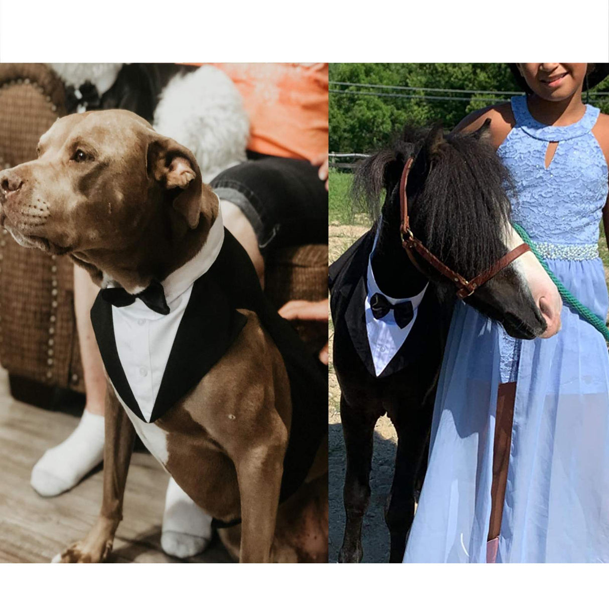 IDOMIK Dog Tuxedo for Small Medium Large Doggie, Detachable Dog Formal Wedding Suit with Tuxedo Vest & Bow Ties Collar & Bandana Scarf Set, Wedding Attire Shirt for Birthday Party Costume