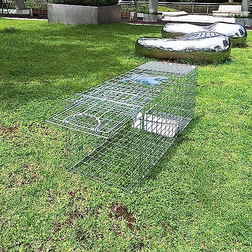 Large Collapsible Humane Live Animal Cage Trap No-Kill Trapping Kit for Humane Catch Release Rabbits, Stray Cat, Squirrel, Raccoon, Other Fit Sized Animals, Heavy Duty, 2-Doors 32" x 11.5" x 12.5"
