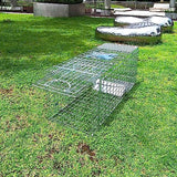 Large Collapsible Humane Live Animal Cage Trap No-Kill Trapping Kit for Humane Catch Release Rabbits, Stray Cat, Squirrel, Raccoon, Other Fit Sized Animals, Heavy Duty, 2-Doors 32" x 11.5" x 12.5"