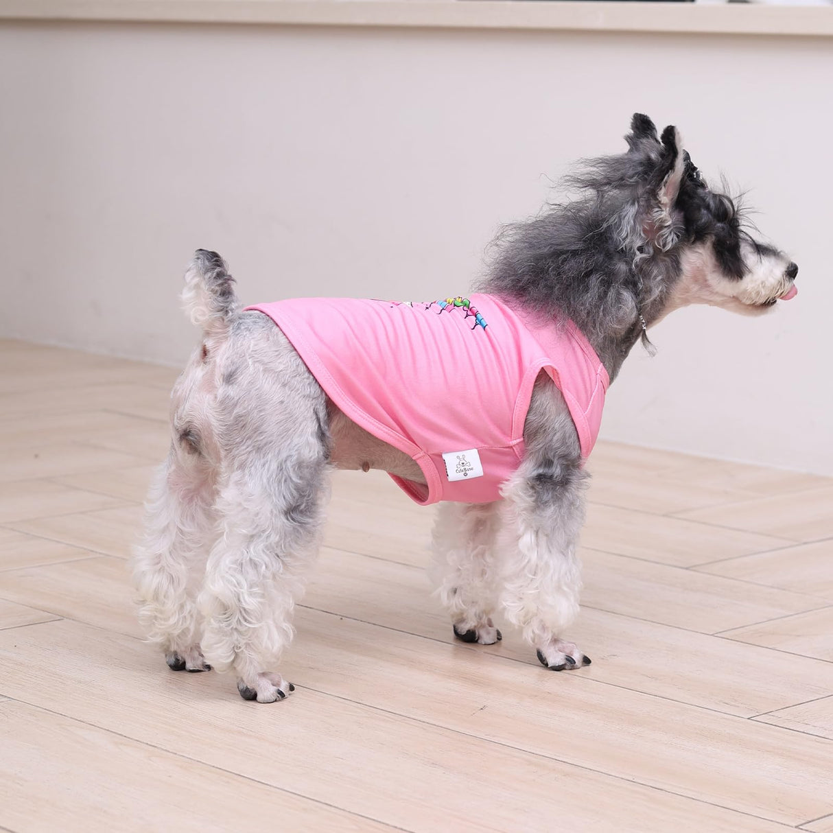 CuteBone Soft Dog Shirt Birthday Lightweight Small Puppy T-Shirts Pet Clothes Breathable Tee Vest Stretchy Outfit Cat Apparel