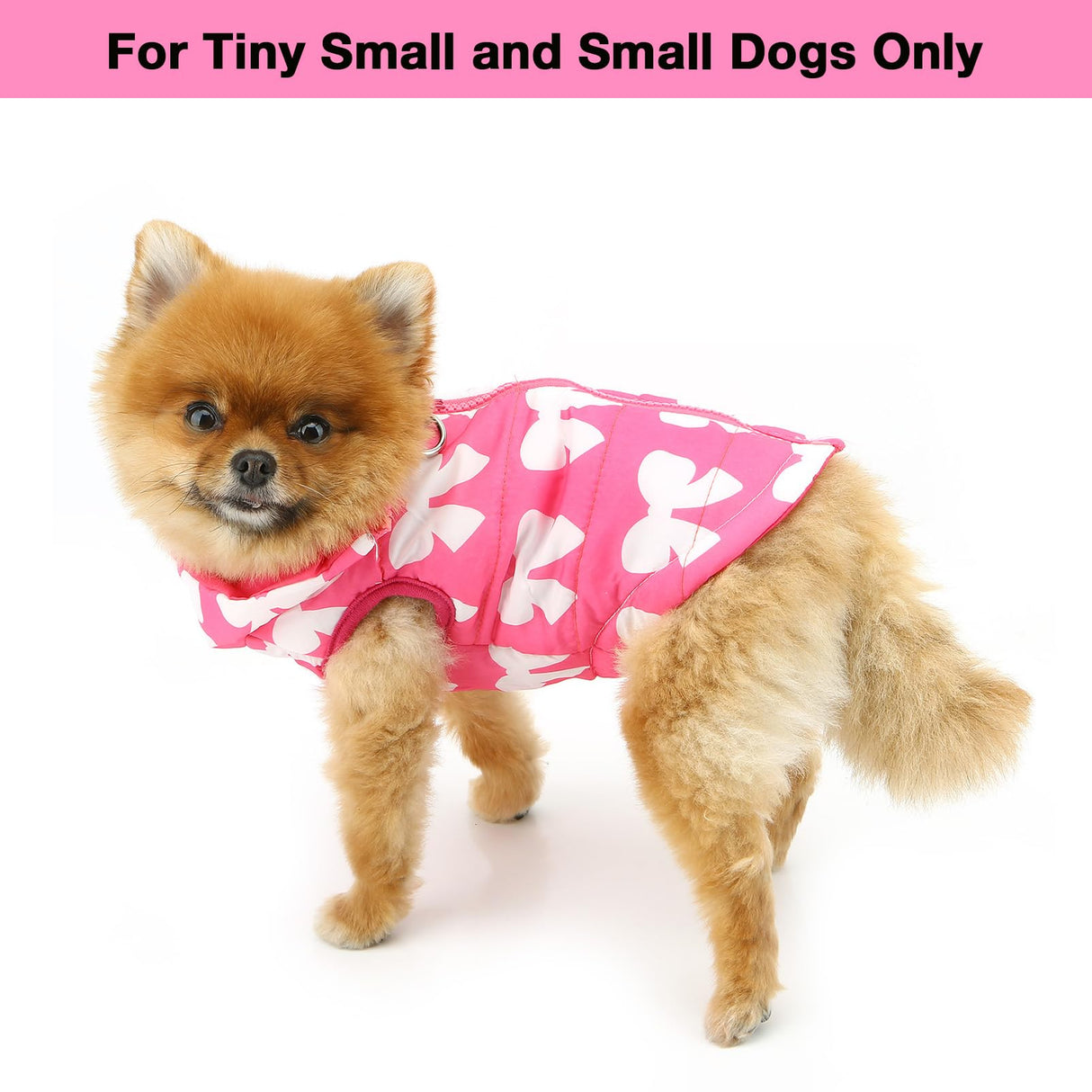 SMALLLEE_LUCKY_STORE Pet Water Resistant Winter Jacket Vest with D-Ring for Small Dog Cat Zip-up Padded Puppy Coat Chihuahua Yorkie Kitten Warm Clothes, Hot-Pink, XL