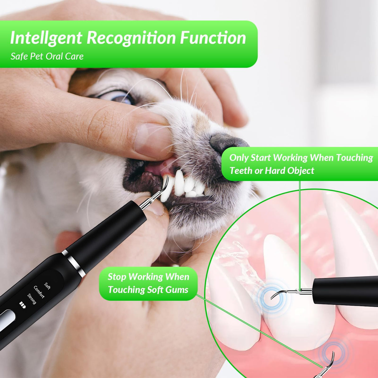 LGGbaodan Dog Plaque and Tartar Remover&Tartar Remover for Pet Teeth, Dog Teeth Cleaning Kit with LED Light and Storage Box, Pet Dental Care, Black.
