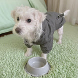 Floofelove Parka Dog Jackets for Small Dogs Clothes for 6 to 9lbs - Windproof Small Dog Winter Fleece Lining Coat Dog Coats for Small Dogs