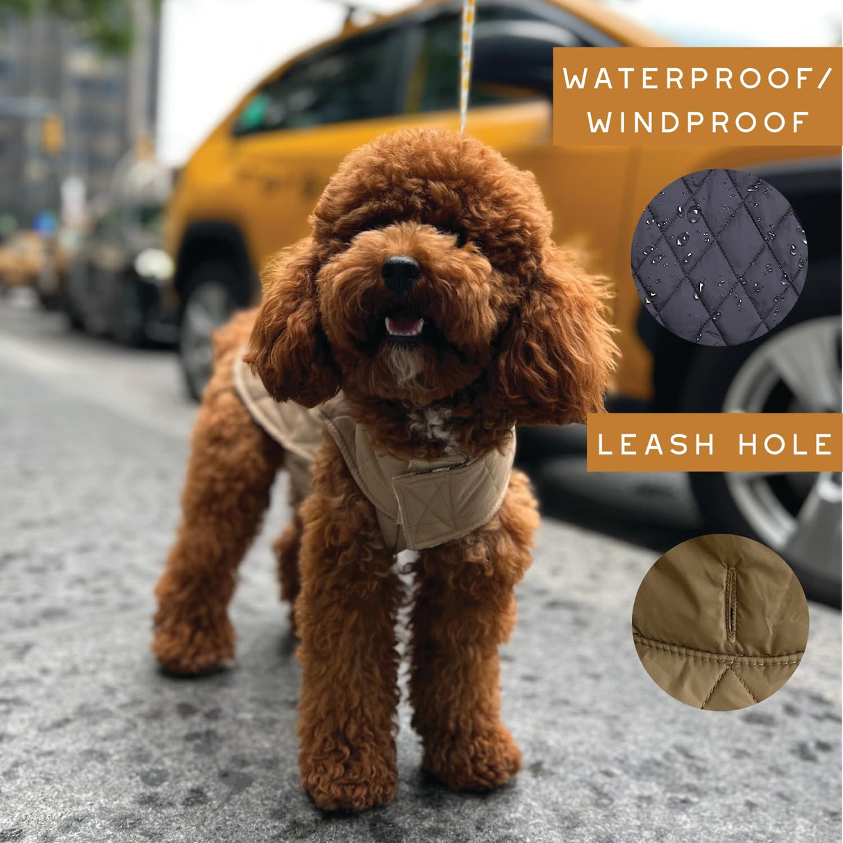 Newbury Waterproof Reversible Warm Dog Winter Coat British Style Windproof Snowproof Dog Vest for Small Medium Large Extra Large Breed (XX-Large, Green)