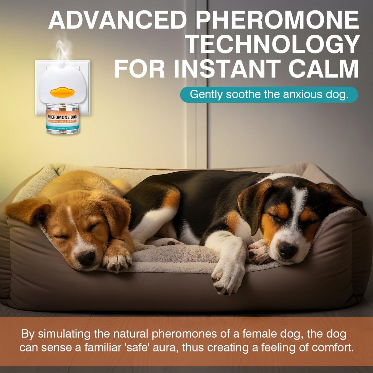 JTEWZX Calming Pheromones Dog Diffuser to Calm Pet Advanced 5 in 1 Kit Appeasing Pheromone Diffuser for Anxiety Relief (2 Plug in+3 Pack 48ml Refill) Reduce Aggression Fighting Barking Stress