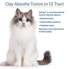Load image into Gallery viewer, Rx Vitamins Rx Edible Clay Powder - Anti Diarrhea for Dogs &amp; Cats and Promotes Gas Relief for Dogs - Aids in Cat Digestive Support and Dog Constipation Relief - 3.52 oz
