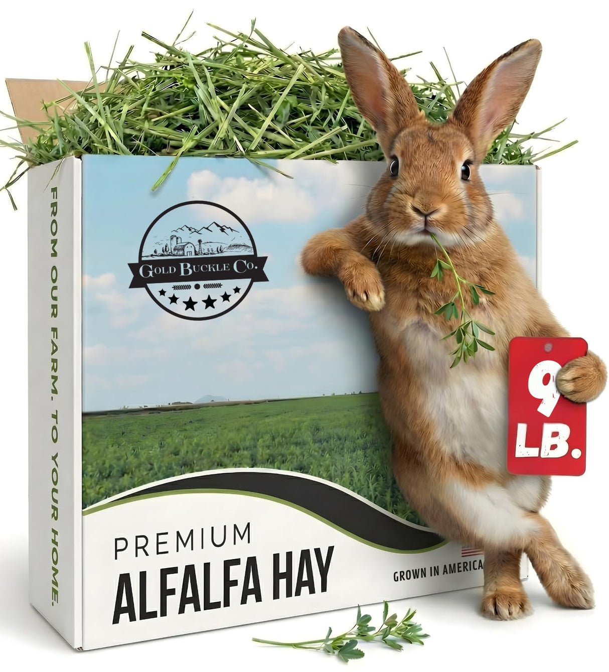 Gold Buckle Co 9lb Farm Fresh, USA Grown, Organic Alfalfa Hay for Rabbits, Guinea Pigs, Chinchillas, Goats, Hamsters & Ferrets - Rabbit Food Rich in Protein & Fiber - Just Dried, Hand-Selected