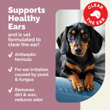 Load image into Gallery viewer, Vetnique Oticbliss Advanced Strength Medicated Dog Ear Infection Treatment, Antiseptic Ear Cleaner for Cat &amp; Dog Ear Cleaning Solution Chlorhexidine &amp; Ketoconazole (12oz Flush)
