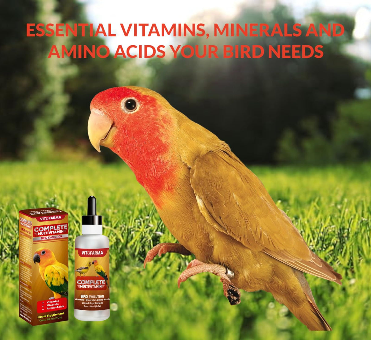 VITOFARMA Multi-Vitamin for Birds, High-Potency Vitamin & Mineral Supplement for Pet Birds 2.0 Ounce