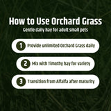 High Desert Orchard Grass Hay, Natural Orchard Hay for Rabbits Guinea Pigs Hamsters and Chinchillas, Soft Leaf Texture for Grazing and Foraging, Small Pet Supplies, Fresh Hand Packed Hay Box, 4 Lb