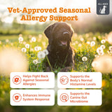 Zesty Paws Vet Strength Dog Allergy Relief Chews, Dog Probiotics for Itchy Skin and Ears, Smoked Cheese, 90ct