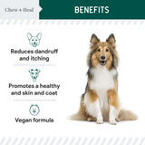 Vegan Omega 3 Oil for Dogs - 8 oz of Fish Free Algae Oil for Healthy Skin and Coat - Made with Omega 3 and 6 Fatty Acids, EPA, DHA, and DPA - Made in The USA