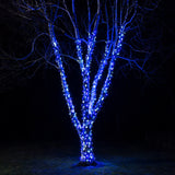 kemooie 300 LED Outdoor Christmas Lights, 99FT 8 Twinkle Modes Green Wire Fairy String Lights for Indoor Outdoor Christmas Tree Lights Wedding Party Decorations(Blue)