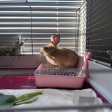 MUYG 11Pcs Rabbit Litter Box Toilet,Bunny Corner Litter Bedding Plastic Square Grate Guinea Pig Bunny Ferret Hamster Hedgehog, Potty Trainer Bedding Box for Guinea Pig Ferret Hamster Hedgehog (Pink)