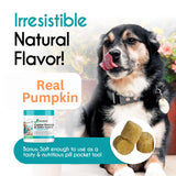 Balanced Breed Dog Probiotics Digestive Health Enzymes Made in USA Vet-Pharmacist Approved Fortiflora Probiotics Dogs Anti Yeast Supplements Constipation Relief Dog Yeast Itchy Skin Itchy Ears Non-GMO