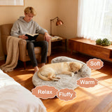 Doimier Calming Dog Beds for Medium Large Dogs, Orthopedic Cushion Plush Large Pet Bed Lounge with Washable Cover, Anti-Anxiety Soft Fluffy Faux Fur Fits up to 60 lbs Pets (Oval, Beige 40"x30")