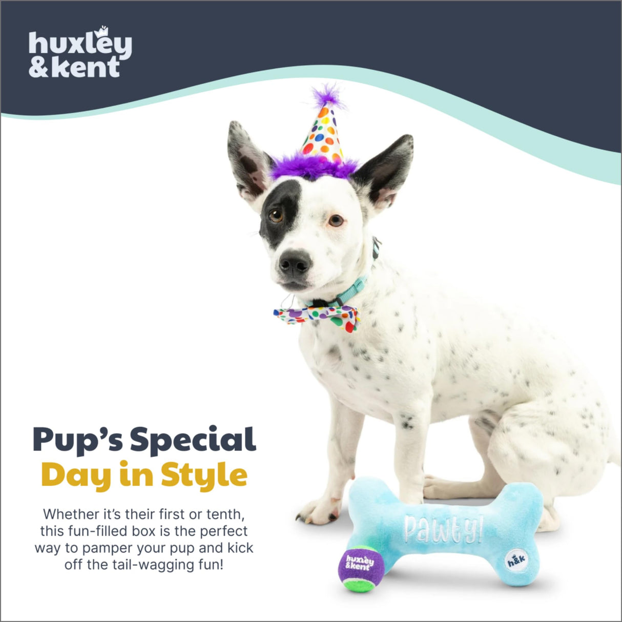 Huxley & Kent Celebration Box for Dogs - Fun Gift Kit with Plush Squeaky Toys, Party Hat, Bow Tie & Banner - Birthday, Gotcha Day & Special Occasion Dog Kit - Happy Barkday Box, Small