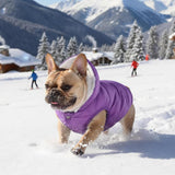 Windproof Waterproof Dog Coat Fleece & Cotton Lined Warm Jacket, Cold Weather Pet Apparel Clothes Vest for Small to Large Dogs (L, Purple)
