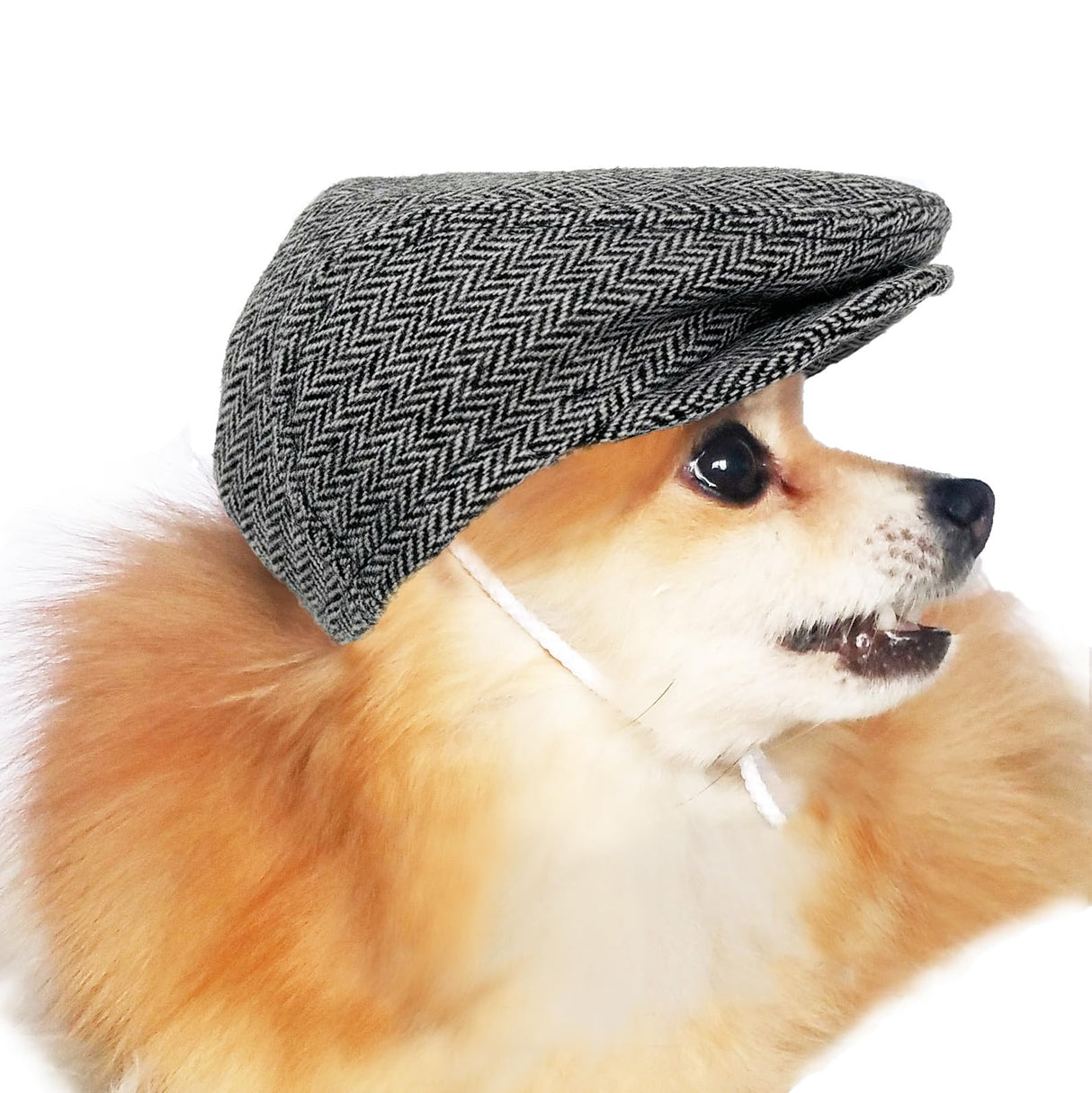 Handmade Dog Ivy Cap Newsboy hat for cats Halloween costume hat for pets (Medium, Black&White Herringbone)