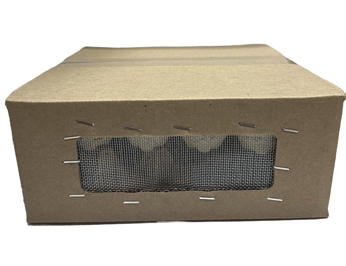 BASSETT'S CRICKET RANCH 1000 Medium (1/2") Banded Crickets