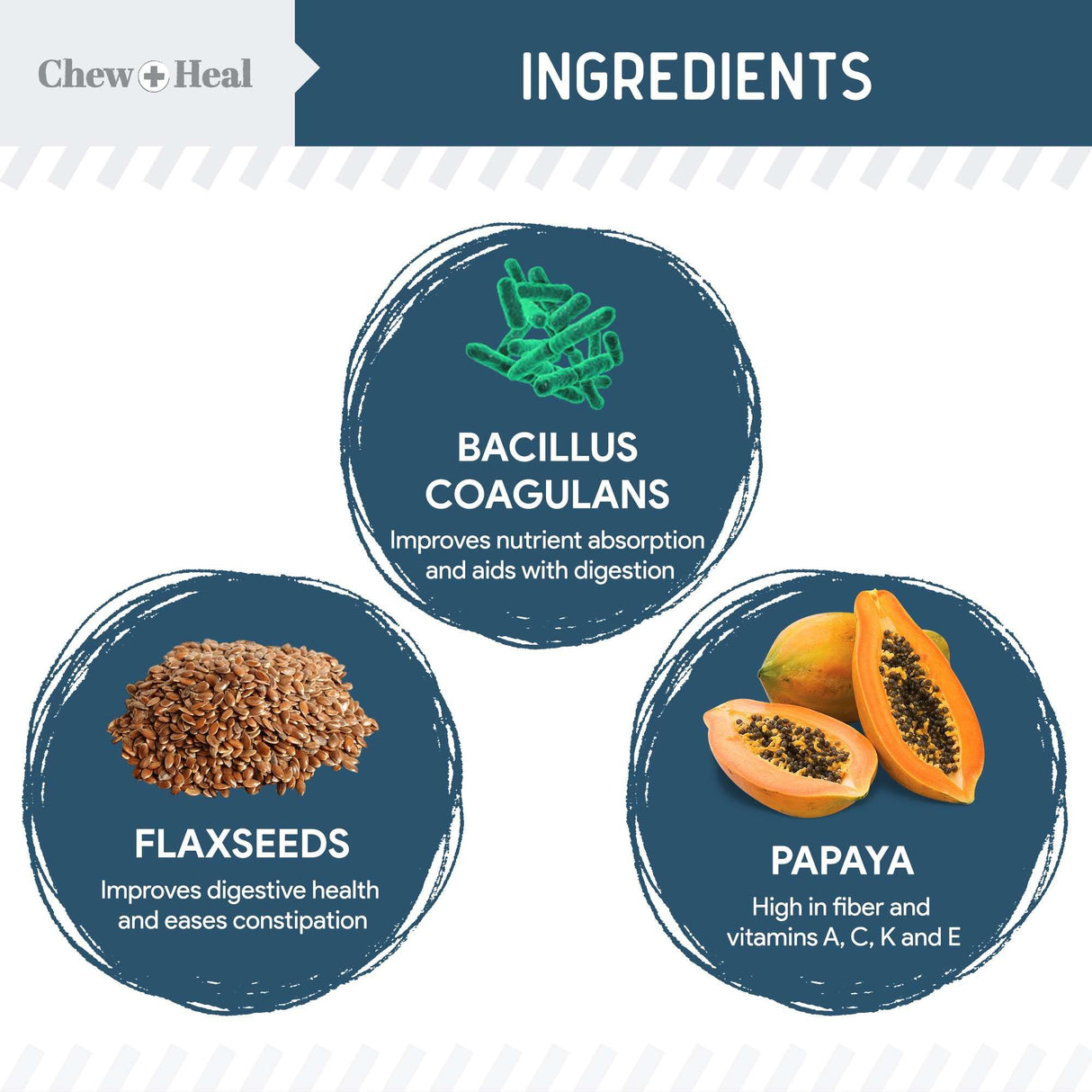 Probiotics for Dogs with Digestive Enzymes - 120 Soft Chews - Supports Healthy Digestive Tract, Helps Nutrient Absorption and Food Digestion - Probiotic & Prebiotic Dog Fiber and Gut Health Supplement