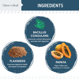 Probiotics for Dogs with Digestive Enzymes - 120 Soft Chews - Supports Healthy Digestive Tract, Helps Nutrient Absorption and Food Digestion - Probiotic & Prebiotic Dog Fiber and Gut Health Supplement