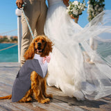 DORA BRIDAL Dog Tuxedo for Medium Dogs, Dog Suit and Bowtie, Formal Dogs Wedding Outfit, Pet Tuxedo and Bandana Set Valentines Birthday Costumes for French Bulldog, Pomeranian, Dachshund, Grey, M