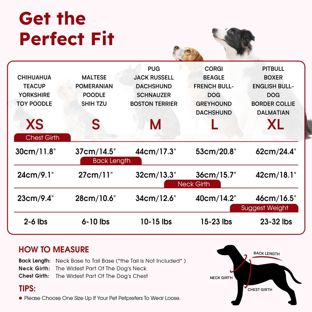 Queenmore Medium Dog Sweater, Dog Sweaters for Medium Dogs Girls Boys, Christmas Clothes for Doggie, Warm Cozy Knit Pullover with Plaid Pattern, Soft Pet Winter Jacket (Red,M)