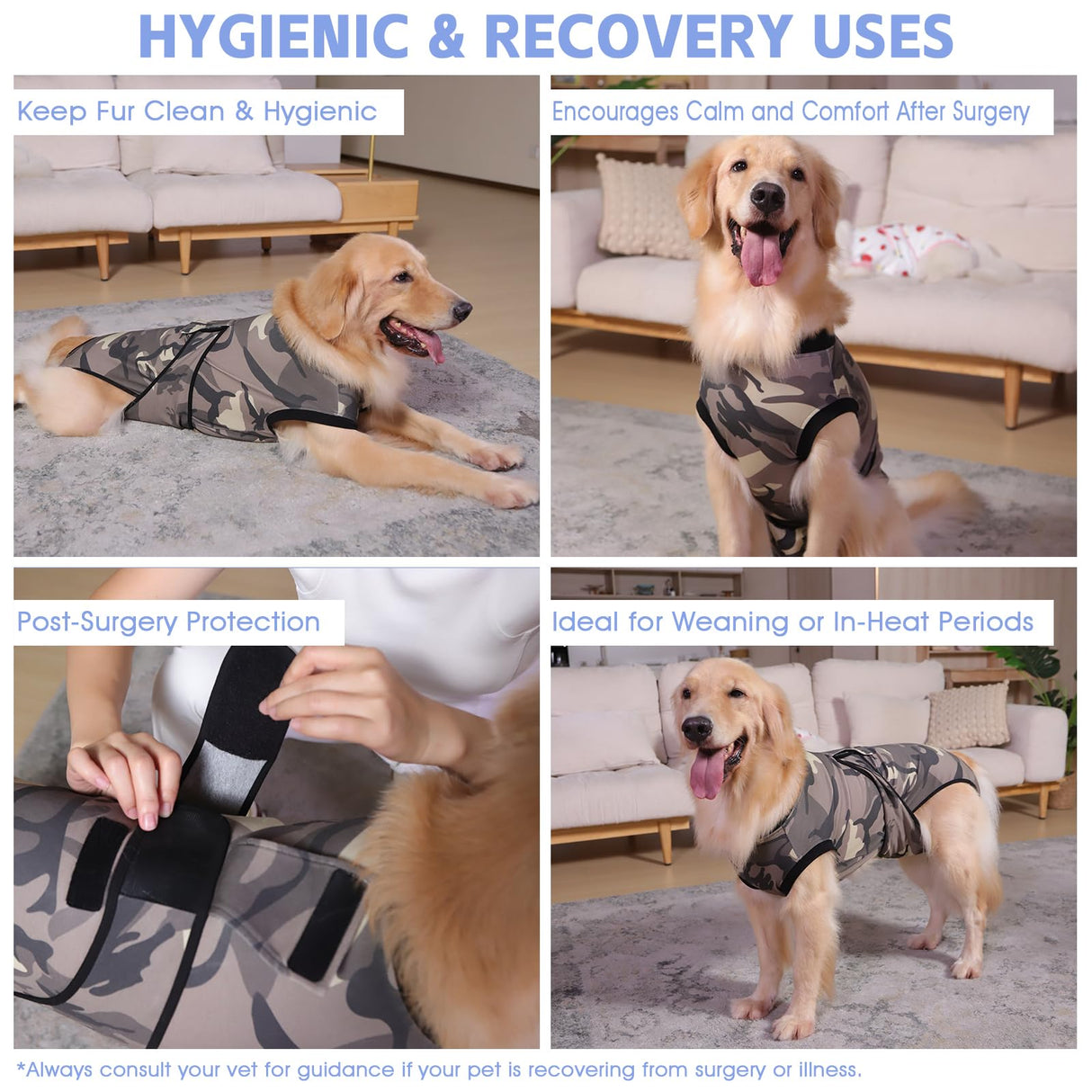 PET Glam Recovery Suit for Dogs Cats, After Surgery, Alternative E-Collar Dog CAT. PET Shirt Breathable Abdominal Wounds, Neuter Cotton, Prevent Licking Onesie Surgical (Green, XXL)