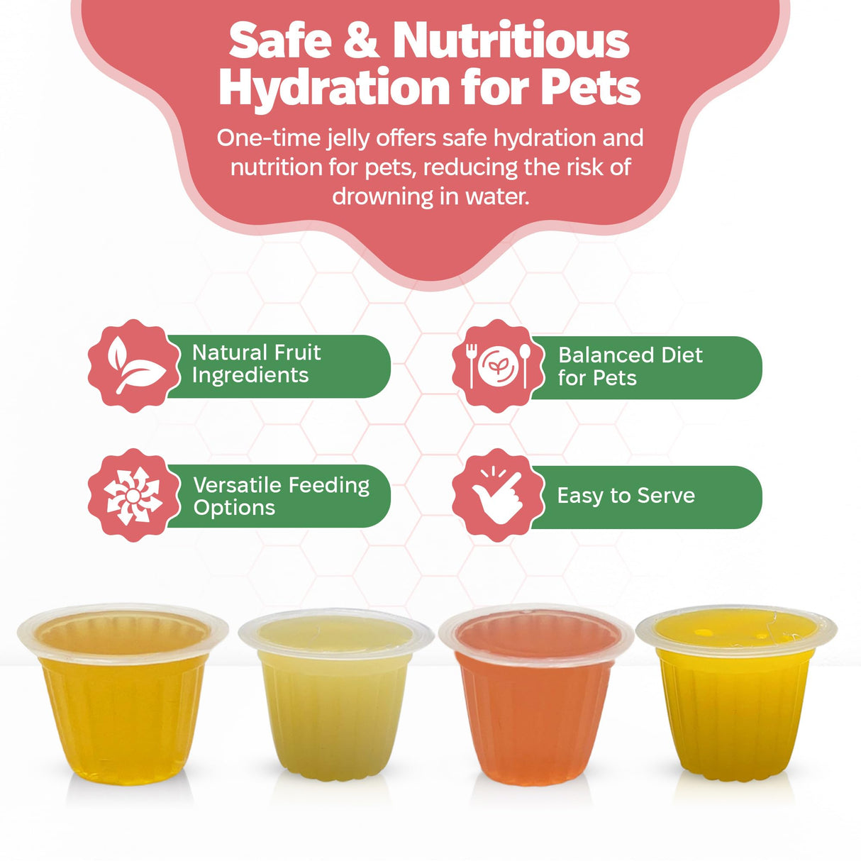 Snout and Shell Pet Jelly Pods Variety Pack - Nutritious Jelly Fruit Nectar Treats for Geckos, Sugar Gliders, Birds, Small Pets - Real Fruit Juice - 40 Cups