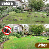 KQCWKH Mole Repellent for Lawns, Mole and Vole Repellent Outdoor, Gopher Repellent, Groundhog Repellent Outdoor, Armadillo Repellent, Mole Deterrent for Yard, Lasts Up to 3 Months, 8 Balls